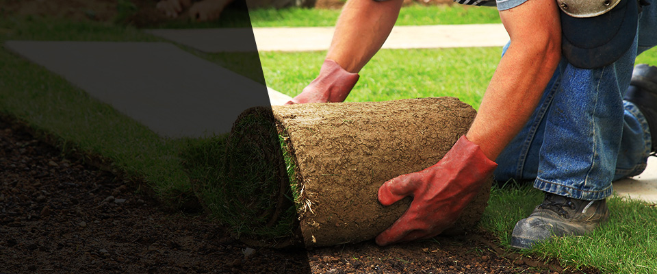 Tillamook Landscapers